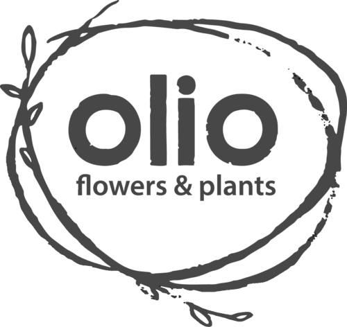 olio flowers and plants